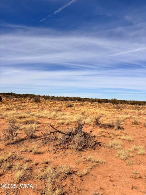 Tiny photo for 8581 Lawson Lane, Snowflake, AZ 85937 (MLS # 258803)