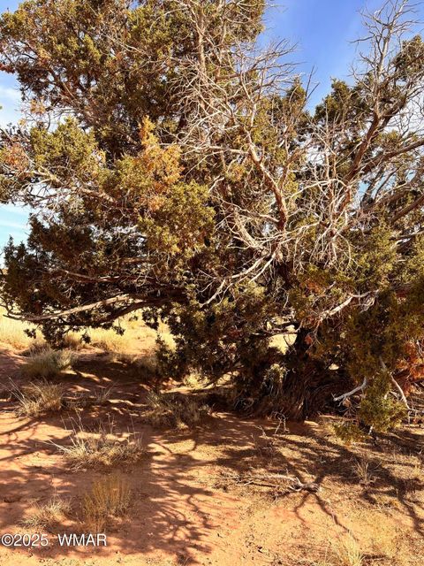 Tiny photo for 8581 Lawson Lane, Snowflake, AZ 85937 (MLS # 258803)