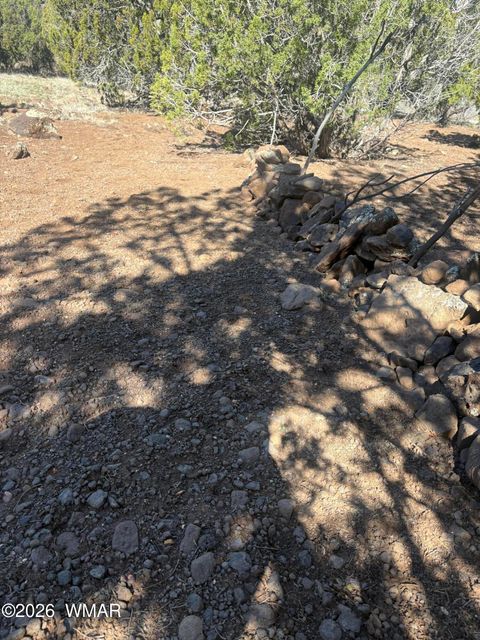 Tiny photo for TBD Daggs Circle, Show Low, AZ 85901 (MLS # 260631)