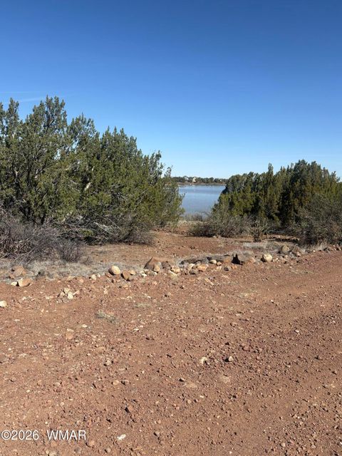 Tiny photo for TBD Daggs Circle, Show Low, AZ 85901 (MLS # 260631)