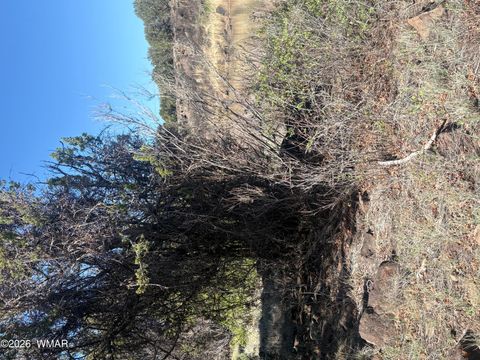 Tiny photo for TBD Daggs Circle, Show Low, AZ 85901 (MLS # 260631)