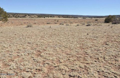 Tiny photo for 3871 Cortez Road, Snowflake, AZ 85937 (MLS # 259359)