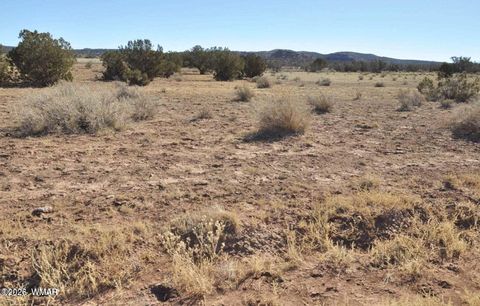 Tiny photo for 3871 Cortez Road, Snowflake, AZ 85937 (MLS # 259359)