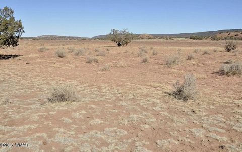 Tiny photo for 3871 Cortez Road, Snowflake, AZ 85937 (MLS # 259359)