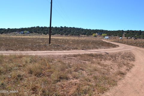 Tiny photo for 058P Bar Ditch Road, Taylor, AZ 85939 (MLS # 256484)