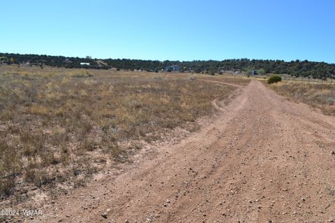 Photo of 058P Bar Ditch Road, Taylor, AZ 85939 (MLS # 256484)