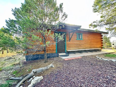Tiny photo for 3403 Top View Road, Overgaard, AZ 85933 (MLS # 256363)