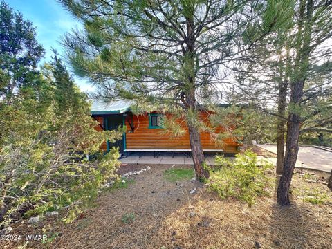 Tiny photo for 3403 Top View Road, Overgaard, AZ 85933 (MLS # 256363)