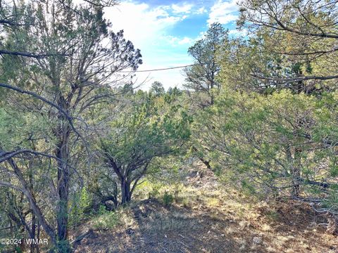 Tiny photo for 3403 Top View Road, Overgaard, AZ 85933 (MLS # 256363)