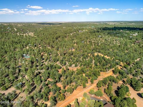 Tiny photo for 2306 Thunderbird Circle, Overgaard, AZ 85933 (MLS # 253163)