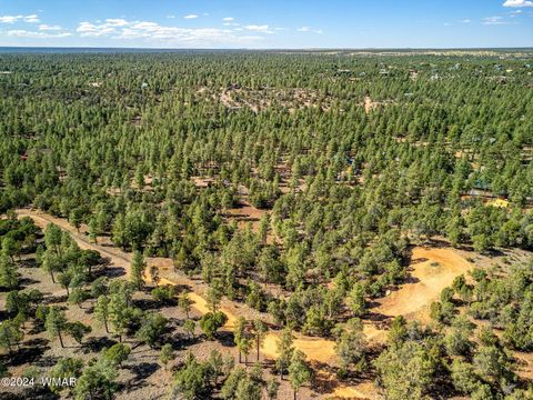 Photo of 2306 Thunderbird Circle, Overgaard, AZ 85933 (MLS # 253163)