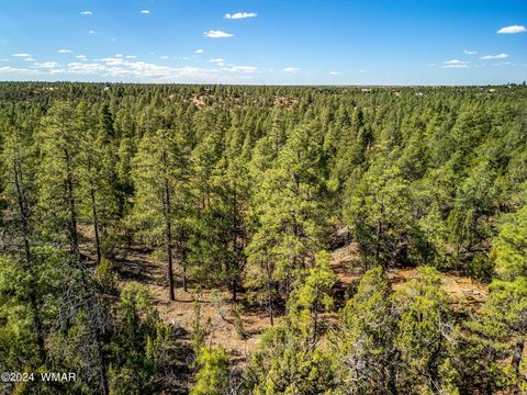 Tiny photo for 2306 Thunderbird Circle, Overgaard, AZ 85933 (MLS # 253163)