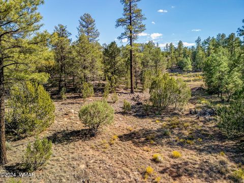 Tiny photo for 2306 Thunderbird Circle, Overgaard, AZ 85933 (MLS # 253163)
