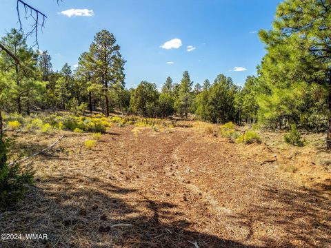 Tiny photo for 2306 Thunderbird Circle, Overgaard, AZ 85933 (MLS # 253163)
