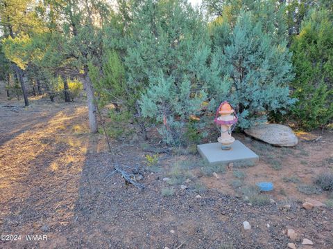 Tiny photo for 2306 Thunderbird Circle, Overgaard, AZ 85933 (MLS # 253163)