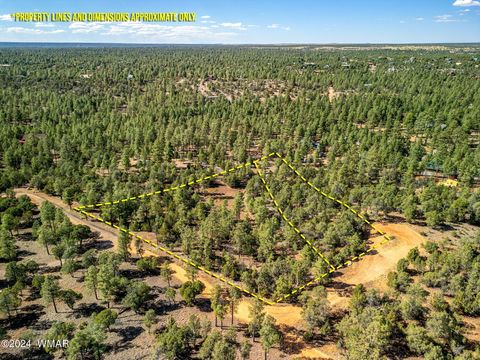 Tiny photo for 2306 Thunderbird Circle, Overgaard, AZ 85933 (MLS # 253163)