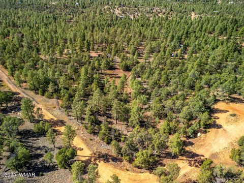 Tiny photo for 2306 Thunderbird Circle, Overgaard, AZ 85933 (MLS # 253163)