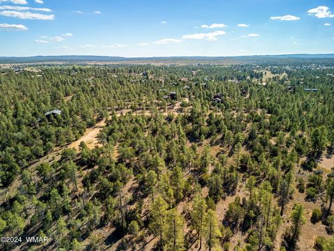 Tiny photo for 2306 Thunderbird Circle, Overgaard, AZ 85933 (MLS # 253163)
