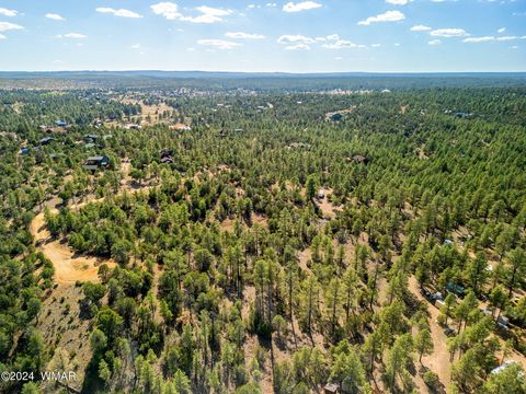 Tiny photo for 2306 Thunderbird Circle, Overgaard, AZ 85933 (MLS # 253163)