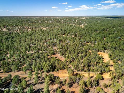 Tiny photo for 2306 Thunderbird Circle, Overgaard, AZ 85933 (MLS # 253163)