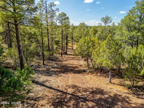 Tiny photo for 2306 Thunderbird Circle, Overgaard, AZ 85933 (MLS # 253163)