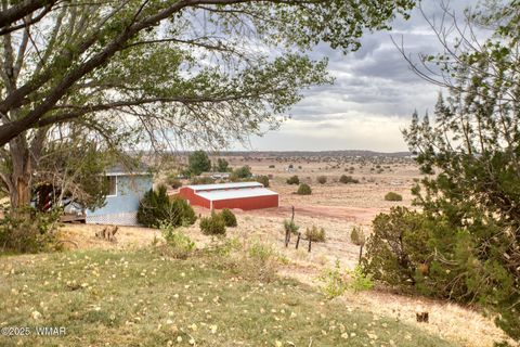 Tiny photo for 9410 Butler Trail, Snowflake, AZ 85937 (MLS # 257558)