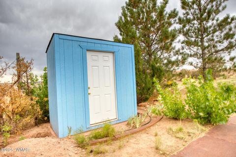 Tiny photo for 9410 Butler Trail, Snowflake, AZ 85937 (MLS # 257558)