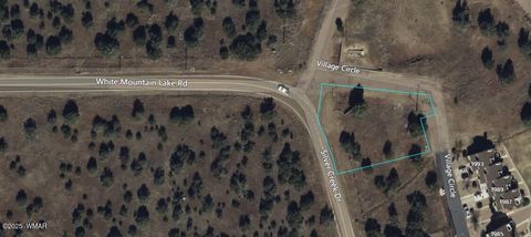 Photo of 8254 Silver Creek Drive, Show Low, AZ 85901 (MLS # 258420)