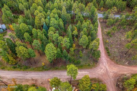Tiny photo for 000 COUNTY ROAD 2196, Alpine, AZ 85920 (MLS # 248796)