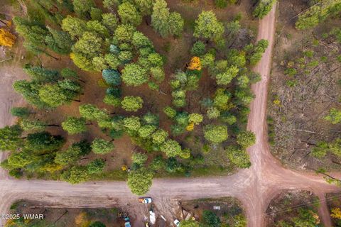 Tiny photo for 000 COUNTY ROAD 2196, Alpine, AZ 85920 (MLS # 248796)