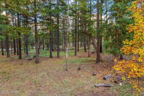 Photo of 000 COUNTY ROAD 2196, Alpine, AZ 85920 (MLS # 248796) Photo of 000 COUNTY ROAD 2196, Alpine, AZ 85920 (MLS # 248796)