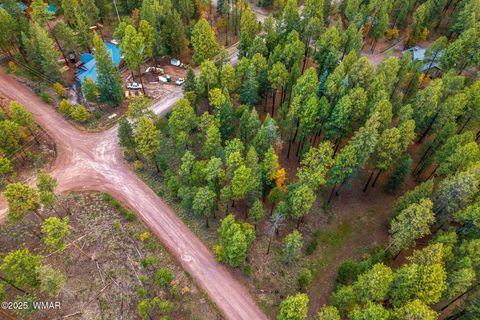 Tiny photo for 000 COUNTY ROAD 2196, Alpine, AZ 85920 (MLS # 248796)