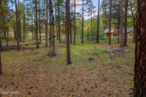Tiny photo for 000 COUNTY ROAD 2196, Alpine, AZ 85920 (MLS # 248796)