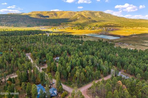 Tiny photo for 000 COUNTY ROAD 2196, Alpine, AZ 85920 (MLS # 248796)
