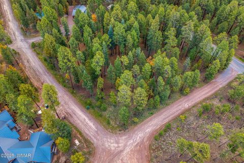 Tiny photo for 000 COUNTY ROAD 2196, Alpine, AZ 85920 (MLS # 248796)