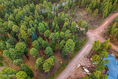 Tiny photo for 000 COUNTY ROAD 2196, Alpine, AZ 85920 (MLS # 248796)