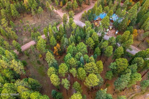 Tiny photo for 000 COUNTY ROAD 2196, Alpine, AZ 85920 (MLS # 248796)