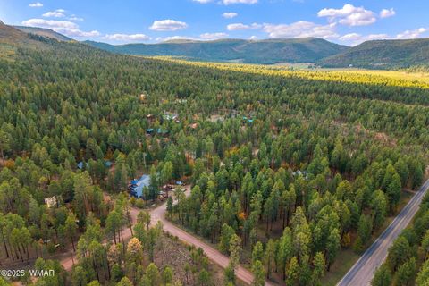 Tiny photo for 000 COUNTY ROAD 2196, Alpine, AZ 85920 (MLS # 248796)