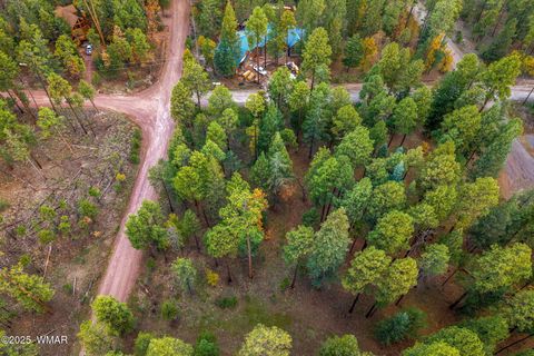 Tiny photo for 000 COUNTY ROAD 2196, Alpine, AZ 85920 (MLS # 248796)