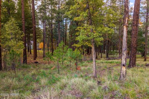 Tiny photo for 000 COUNTY ROAD 2196, Alpine, AZ 85920 (MLS # 248796)