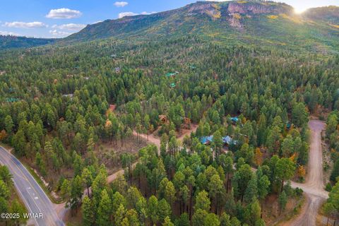 Tiny photo for 000 COUNTY ROAD 2196, Alpine, AZ 85920 (MLS # 248796)
