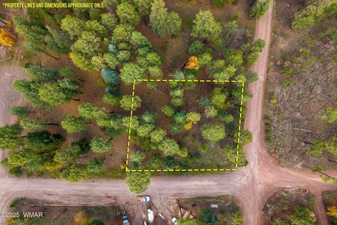 Tiny photo for 000 COUNTY ROAD 2196, Alpine, AZ 85920 (MLS # 248796)