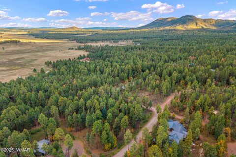 Tiny photo for 000 COUNTY ROAD 2196, Alpine, AZ 85920 (MLS # 248796)