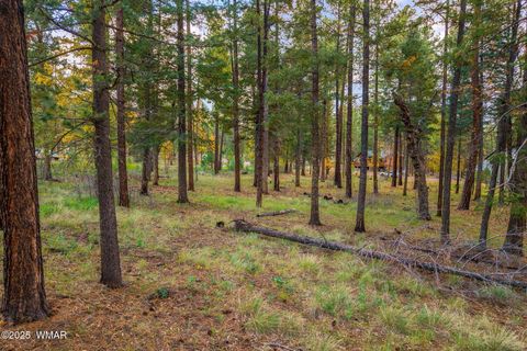 Tiny photo for 000 COUNTY ROAD 2196, Alpine, AZ 85920 (MLS # 248796)