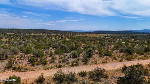 Tiny photo for TBD Waterloo Way 1.83 Acres, Seligman, AZ 86337 (MLS # 258596)