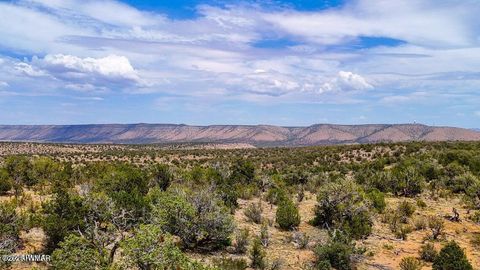 Tiny photo for TBD Waterloo Way 1.83 Acres, Seligman, AZ 86337 (MLS # 258596)
