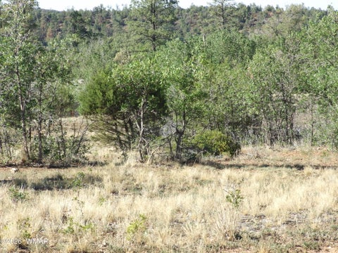 Tiny photo for Lot C Lamb Drive, Pinedale, AZ 85934 (MLS # 262576)