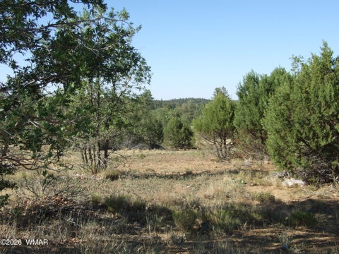 Tiny photo for Lot C Lamb Drive, Pinedale, AZ 85934 (MLS # 262576)
