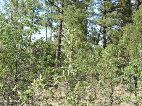 Tiny photo for Lot C Lamb Drive, Pinedale, AZ 85934 (MLS # 262576)