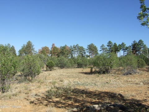 Tiny photo for Lot C Lamb Drive, Pinedale, AZ 85934 (MLS # 262576)